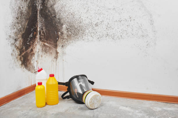 Best Crawl Space Mold Removal  in Carter Lake, IA