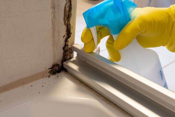Best Crawl Space Mold Removal  in Carter Lake, IA