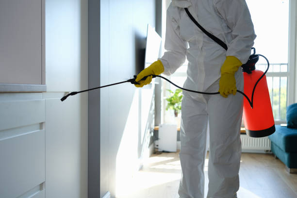 Best Local Mold Removal Service  in Carter Lake, IA